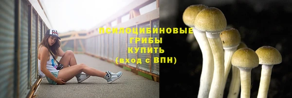 мяу мяу мука Алексеевка