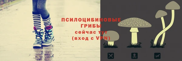 мяу мяу мука Алексеевка