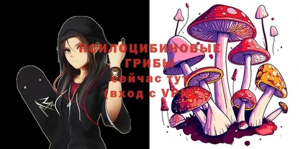 мяу мяу мука Алексеевка