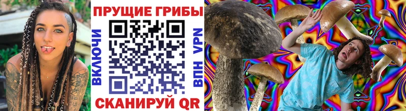 Галлюциногенные грибы прущие грибы  Купить  Долинск 